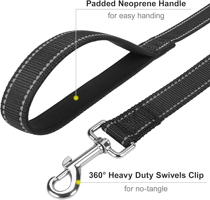 6FT Reflective Nylon Dog Leash with Soft Padded Handle for Walking, Running and Training, Supports Small Medium and Large Dogs (Black, 1 Inch Wide)