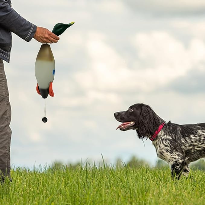 Duck Dog Training, Pheasant Dog Training Dummies for Dog Training Hunting Dog Accessories Dogs Training Dummy Bumper Retriever Floating De-ad Bird Fowl Trainer Hunting Retriever (Duck)