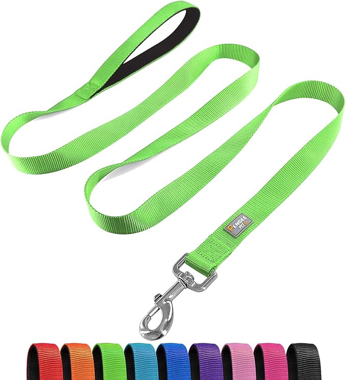 Basic Dog Leashes 6 FT Padded Handle Nylon Dogs Leashes for Medium Dogs Green