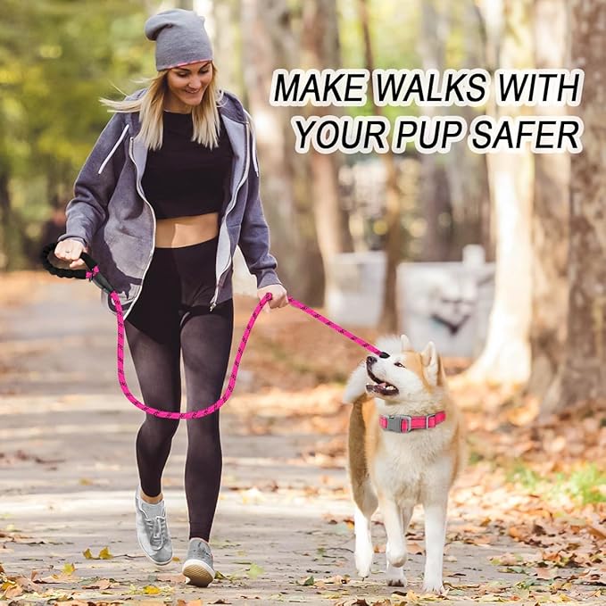 BARKBAY Dog Leashes for Large Dogs Heavy Duty Dog Leash 2 Pack 5 FT with Comfortable Padded Handle Highly Reflective Threads for Medium Large Dogs Walking Training Running (5FT-1/2,Fushcia+Black)