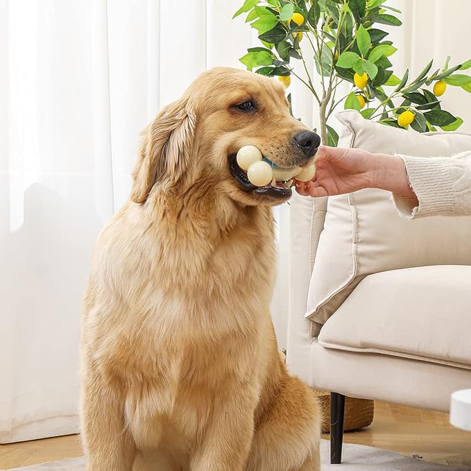 Dog Bones,Pack Beef Flavor Tough Dog Toys Bone for Large/Medium/Small Dogs,Nylon Made Durable Dog Bones for Teeth Cleaning and Training (2 Pcs, Snack-Filled Bone)