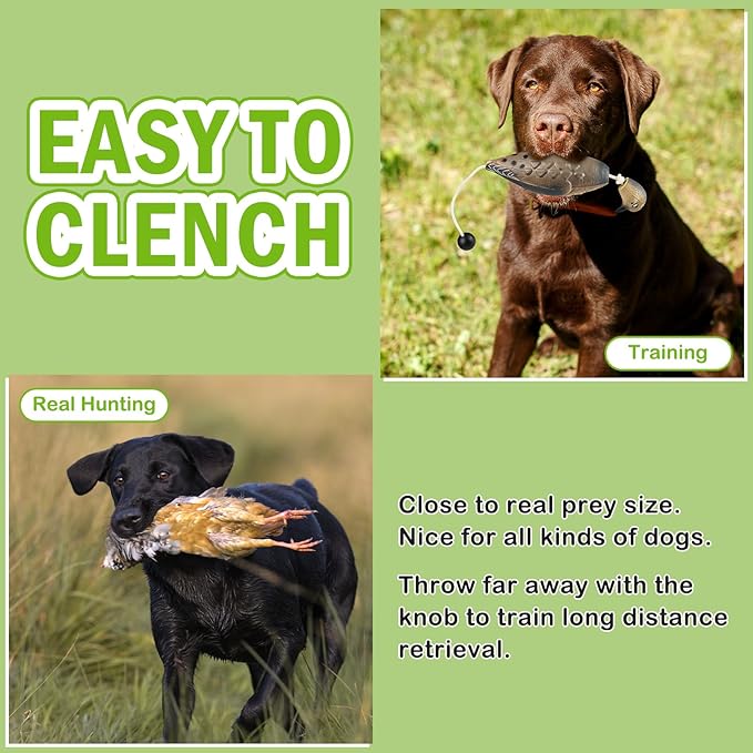 Archerest Dead Duck Dove Pheasant Dummy Bumper Toys for Waterfowl Hunting Retriever Dog Training, Floating Mallard Dummy Trainer Outdoor Soft Durable Realistic Fowl