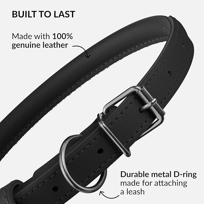 CollarDirect Rolled Leather Dog Collar, Soft Padded Round Puppy Collar, Handmade Genuine Leather Collar Dog Small Large Cat Collars 13 Colors (15-19 Inch, Black Smooth)