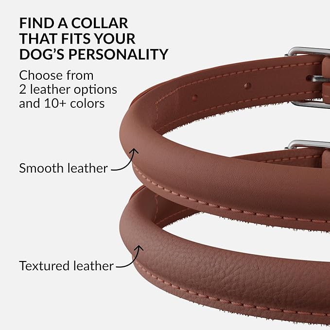 CollarDirect Rolled Leather Dog Collar, Soft Padded Round Puppy Collar, Handmade Genuine Leather Collar Dog Small Large Cat Collars 13 Colors (15-19 Inch, Cinnamon Smooth)