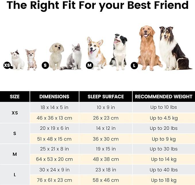 Miguel Washable Dog Bed with Removable Cushion for Small Dogs, Easy to Wash Pet Sofa Bed with Side, Rectangle Bolster Cat Bed Calming Cuddle Puppy Bed with Anti-Slip Bottom, Dark Brown 18 Inch