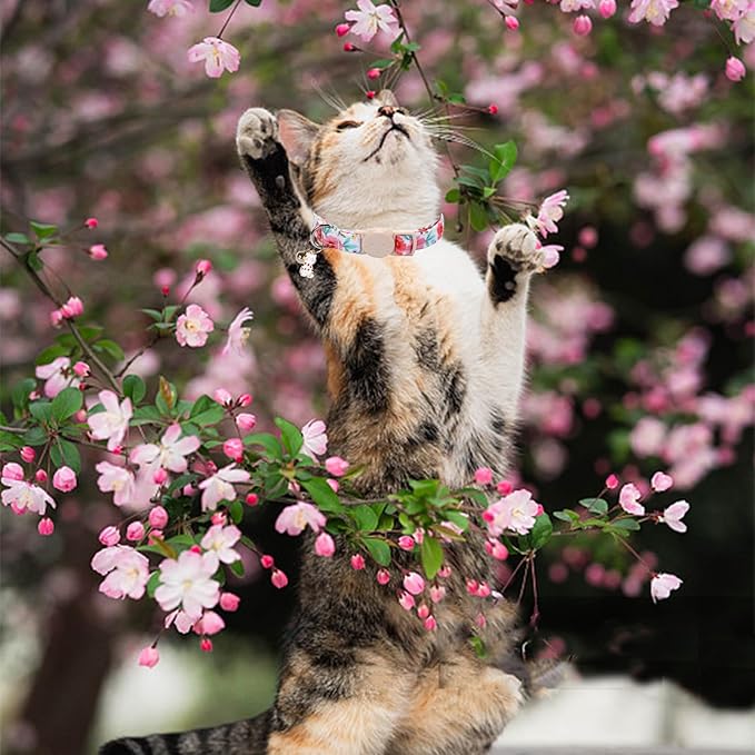 Elegant little tail 2 Pack Cat Collar-Spring Print Cotton Breakaway Cat Collars with Bell Pendant Kitten Boy Girl Safety Adjustable Collar for Small Cats Puppy