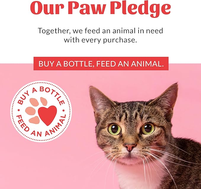 Skout's Honor Cat Severe Mess Stain & Odor Remover - Advanced Formula for Tackling the Worst Cat Messes, Eco-Friendly Formula for Carpets and Home, 35 oz