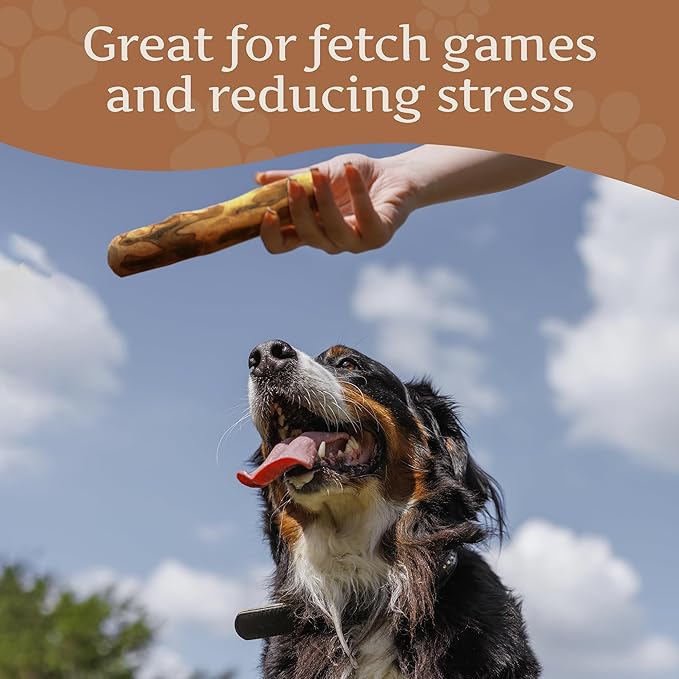 Wildfang® Olive Wood Chewing Sticks for Dogs, Medium - Tough Chew Toys for Aggressive Chewers, Puppy Chew Toys for Teething, Training for Chewing Muscles, Olive Wood Stick for Dog (33-55lbs), 3pack