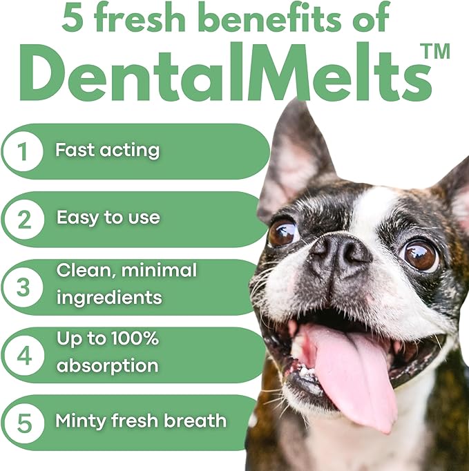Bad Breath Oral Support for Dogs 5 in 1 – 10 Oral Melts – Natural Sage, Spirulina, Apple Cider Vinegar – Dog Dental Care Products & Breath Freshener – Fast Dissolving Dog Breath Treats