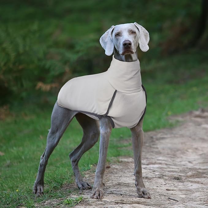 ROZKITCH Dog Winter Coat Soft Pullover Pajamas, Pet Windproof Warm Cold Weather Jacket Vest Cozy Onesie Jumpsuit Apparel Outfit Clothes for Small Medium Large Dogs Walking Sleep Grey S