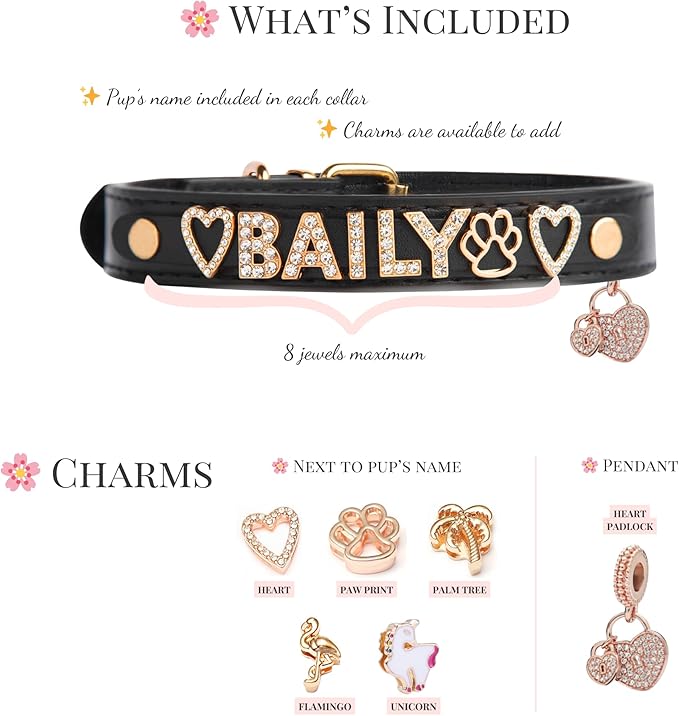 Paws Paws Miami Custom Dog Collar for Large Dogs, Personalized with Name in Gold-Plated Cubic Zirconia Initials and Charm Jewels Leather Collars, Black