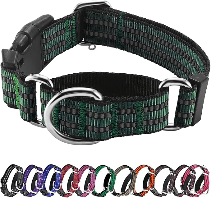 Hikiko Martingale Dog Collars Reflective Nylon Dog Collar with Quick Release Buckle Adjustable Training No Slip Dog Collar (Small, Dark Green)