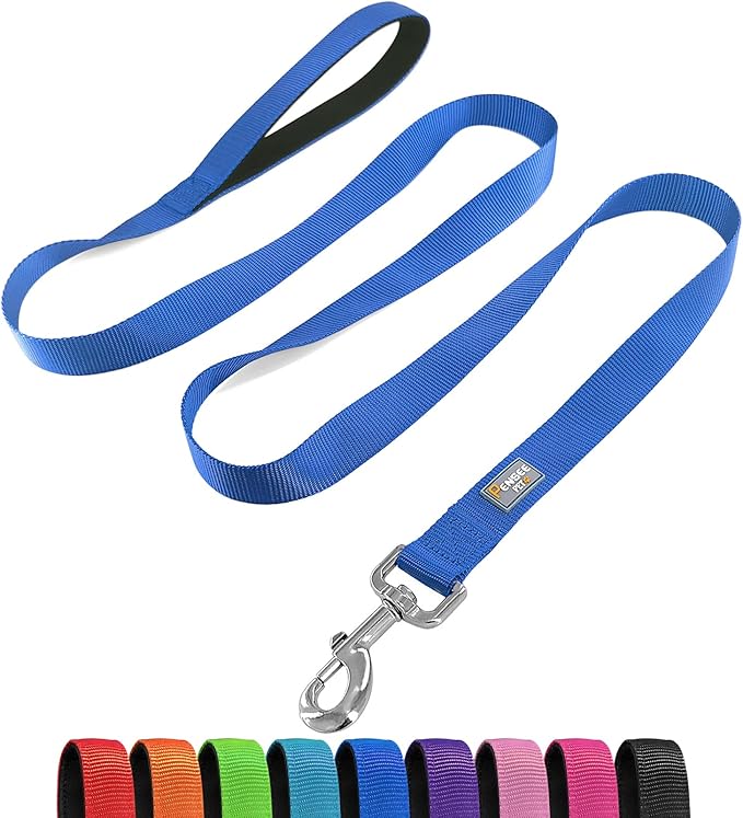 Basic Dog Leashes 6 FT Padded Handle Nylon Dogs Leashes for Large Dogs Blue