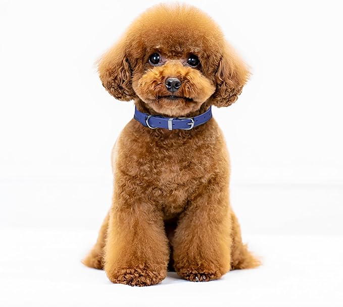 OOPSDOGGY Rolled Leather Dog Collar Reflective Roll Collars for Small Medium Large Dogs Puppy (Blue, XL, 17'' - 21'')