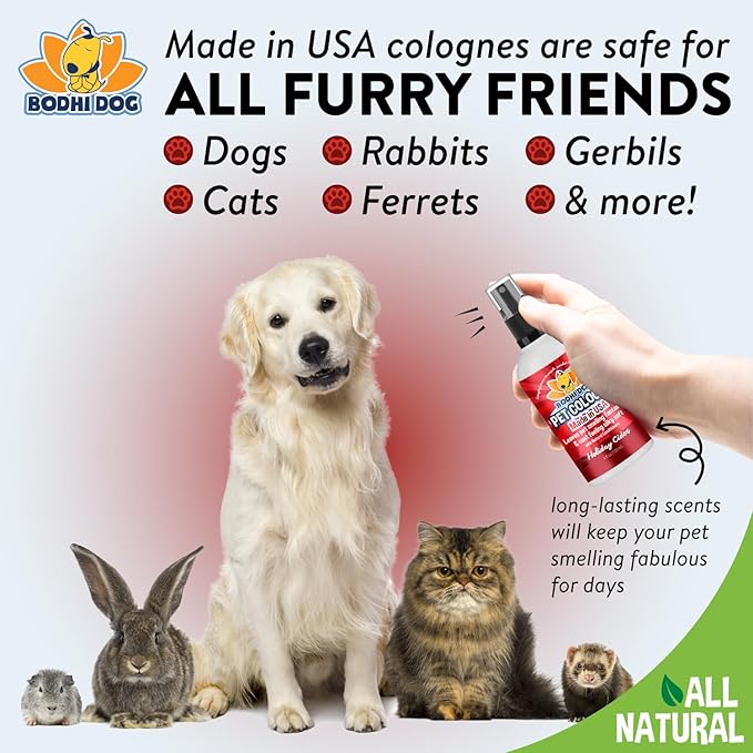 Bodhi Dog Natural Dog Cologne (Holiday Cider) - Premium Scented Deodorizing Pet Perfume with Conditioner for Dogs & Cats - Keeps Pets Fresh & Clean - Gentle and Safe Formula, Made in USA (4 Fl Oz)