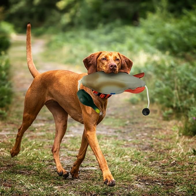 Duck Dog Training, Pheasant Dog Training Dummies for Dog Training Hunting Dog Accessories Dogs Training Dummy Bumper Retriever Floating De-ad Bird Fowl Trainer Hunting Retriever (Duck)