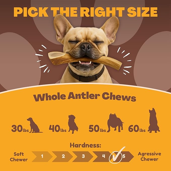 WhiteTail Naturals - Bulk Deer Antlers for Dogs (1 Pound Pack) Antler Chews - Naturally Shed, Long Lasting Dog Bones for Aggressive Chewers.