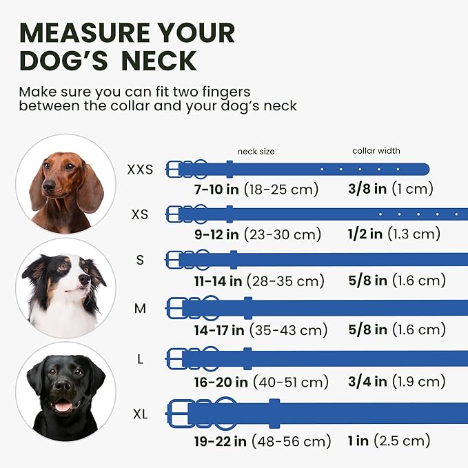 Rolled Leather Dog Collar Soft Round Collars, ID Tag for Small Medium Large Dogs (9-12 inch, Royal Blue)