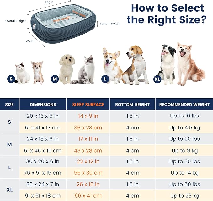 Miguel Orthopedic Cat Beds for Indoor Cats, Egg-Crate Memory Foam Pet Sofa with Bolster Sides, Oval Crate Bed, Washable Removable Cover & Non-Slip Bottom, Haze Blue