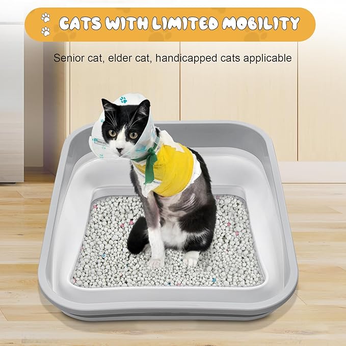 Senior Cat Litter Box, Three Legged Arthritic Open Low Entry for Sick Frail Handicap Disabled Cats, Older Elderly Corner