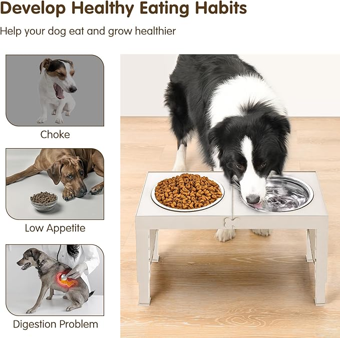 Elevated Dog Bowls Large Breed XIAZ Raised Dogs Bowl Stand Large/Medium Sized Dog 1L Food Water Bowl Stands 5 Heights Adjustable 9/11/12/17in White Pet Feeder Dish Station