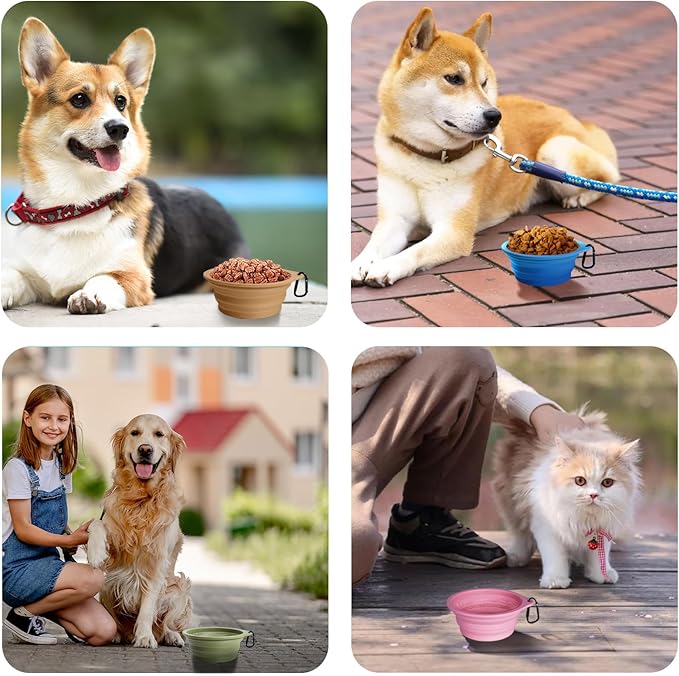 PetBonus 2-Pack Silicone Collapsible Dog Bowls, BPA Free Dishwasher Safe, Portable Foldable Expandable Travel Bowl, Food Water Feeding Cup Dish for Dogs Cats with 2 Carabiners (Light Blue & Green)