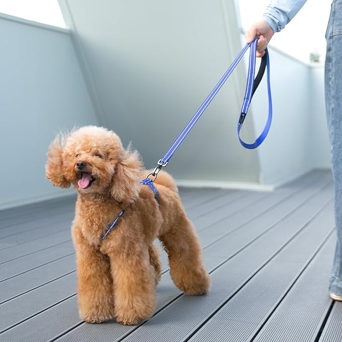 EXCELLENT ELITE SPANKER No Pull Dog Harness Reflective Nylon Vest L-Shaped Adjustable Easy Pet Harness for Small Medium Large Breeds Dogs Walking Training Black Red(Blue-S)