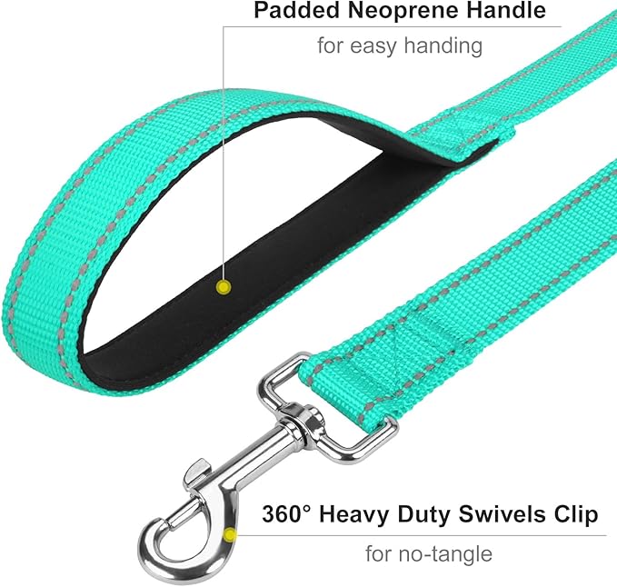 6FT Reflective Nylon Dog Leash with Soft Padded Handle for Walking, Running and Training, Supports Small Medium and Large Dogs (Turquoise, 3/4Inch Wide)
