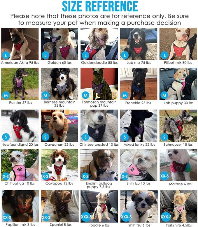 SlowTon Dog Seat Belt Harness for Car, Dog Car Harness Adjustable Mesh Breathable & Dog Seatbelt Safety Tether with Elastic Bungee for Small Medium Large Pets(Lime, Double Clip, M)