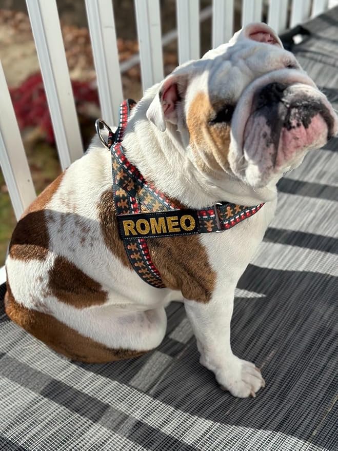 BULLHUG 6 FT Bulldog Leash with Padded Handle. Perfect for Bulldogs, French Bulldogs, Pugs & All Breeds. Leashes for Walking, Training Lead for Bulldogs (Reflective Stitching, Purple)