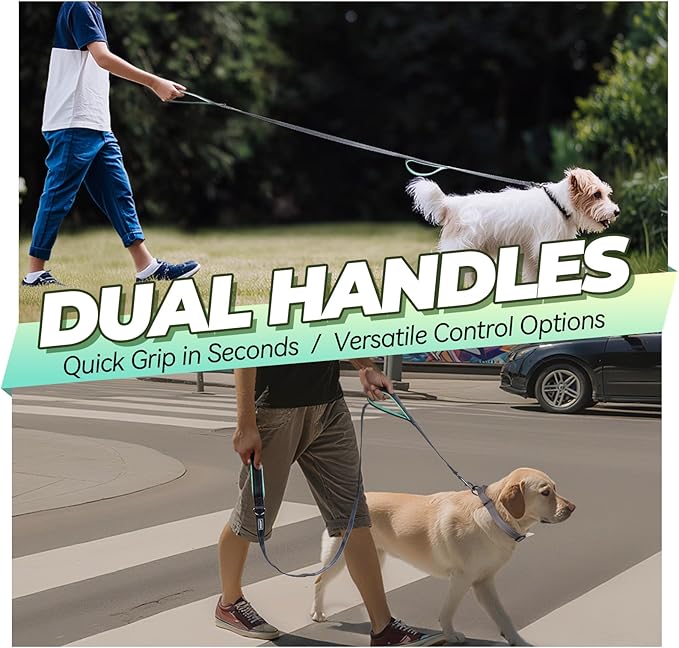VIVAGLORY Twingrip Dog Leash, Double Handle Dog Leash for Training & Walking with Traffic Handle & 2 Loop, Traffic Control Reflective Heavy Duty for Puppy Pet, 4ft x 1in, Grey