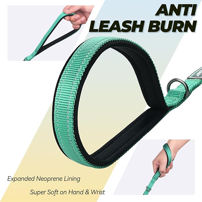 VIVAGLORY Twingrip Dog Leash, Double Handle Dog Leash for Training & Walking with Traffic Handle & 2 Loop, Traffic Control Reflective Heavy Duty for Puppy Pet, 4ft x 1/2in, Turquoise