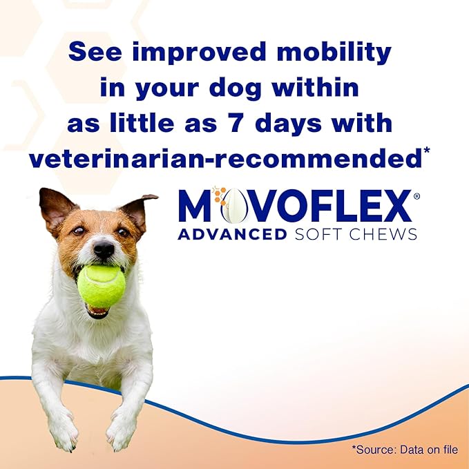 MOVOFLEX Advanced Soft Chews Hip and Joint Support Supplement for Small Dogs 120 Count by Virbac