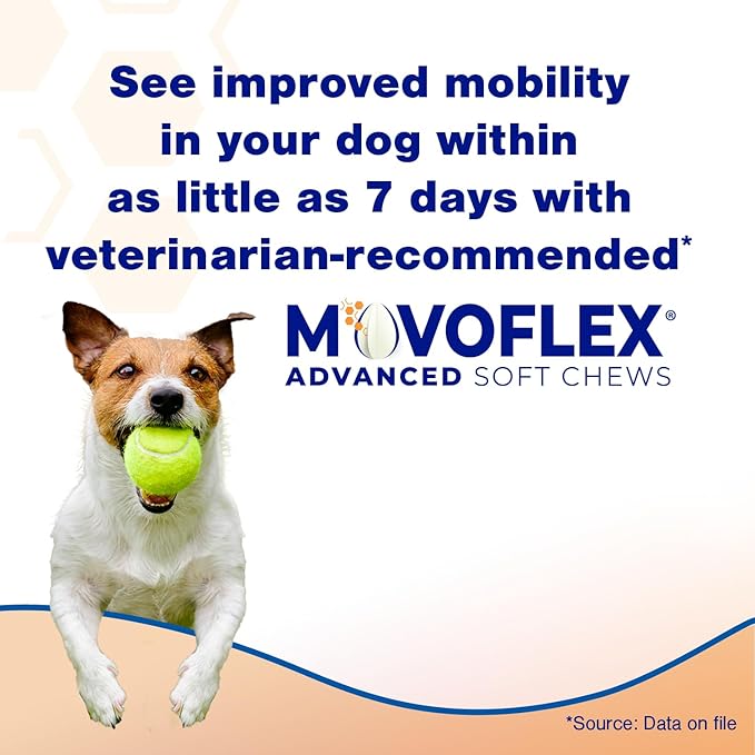 MOVOFLEX Advanced Soft Chews Hip and Joint Support Supplement for Medium Dogs 60 Count by Virbac