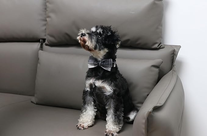 Lionet Paws Gird Dog Collar with Plastic Buckle, Cotton Fall Winter Bowtie Collar, Light Adjustable Collars for Small Medium Large Dogs