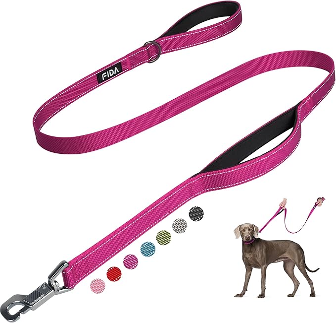 Fida 5 FT Heavy Duty Dog Leash with 2 Comfortable Padded Handles, Traffic Handle & Advanced Easy Snap Hook, Reflective Walking Lead for Large, Medium & Small Breed Dogs, Rose
