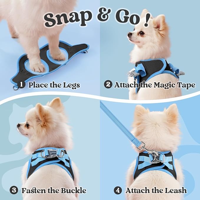 rabbitgoo Dog Harness Small Sized and Leash Set, Step-in Breathable Pet Harness, Soft Walking Reflective Puppy Vest for Small Dogs, Black & Light Blue, XXS