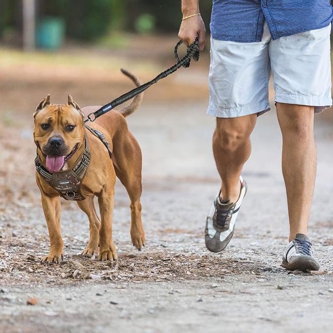 Auroth Tactical Dog Harness for Small Medium Dogs No Pull Adjustable Pet Harness Reflective K9 Working Training Easy Control Pet Vest Military Service Dog Harnesses Army Yellow M