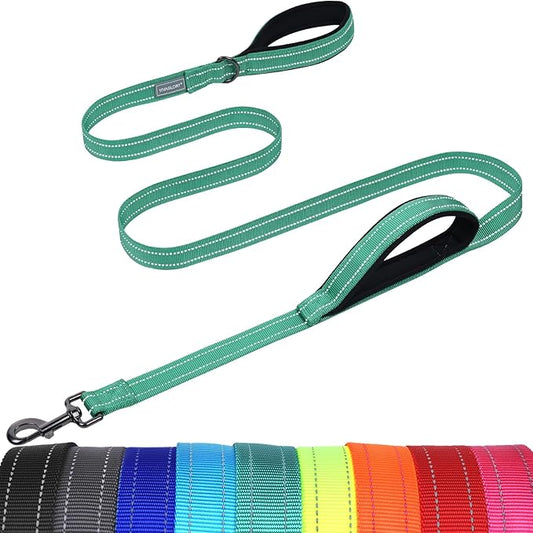 VIVAGLORY Twingrip Dog Leash, Double Handle Dog Leash for Training & Walking with Traffic Handle & 2 Loop, Traffic Control Reflective Heavy Duty for Puppy Pet, 5ft x 1in, Turquoise
