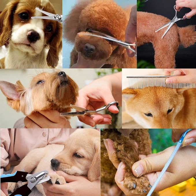 Dog Grooming Scissors Kit, Safety Round Tip, Heavy Duty Stainless Steel Dog Scissors and Nail Clippers, 6 in 1 Dog Grooming Kit