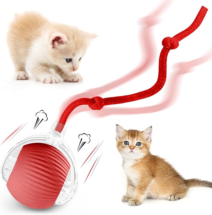 luseyfj Interactive Cat Ball Toys for Indoor Cats, Peppy Pet Ball, 2025 Upgraded Automatic Kitten Toy for Bored Indoor Adult Cat, 360°Smart Rolling Toy (Red)