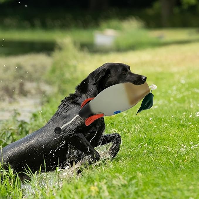 Duck Dog Training, Pheasant Dog Training Dummies for Dog Training Hunting Dog Accessories Dogs Training Dummy Bumper Retriever Floating De-ad Bird Fowl Trainer Hunting Retriever (Duck)