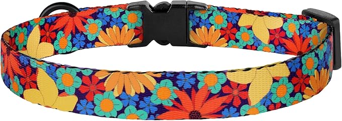Cat Collars 2 Pack - Soft Cute Breakaway Collar with Bell, Adjustable Safety Kitten Collars for Girl & Boy Cats – Comfortable Stylish Patterned Print Lightweight (Floral + Arrows)
