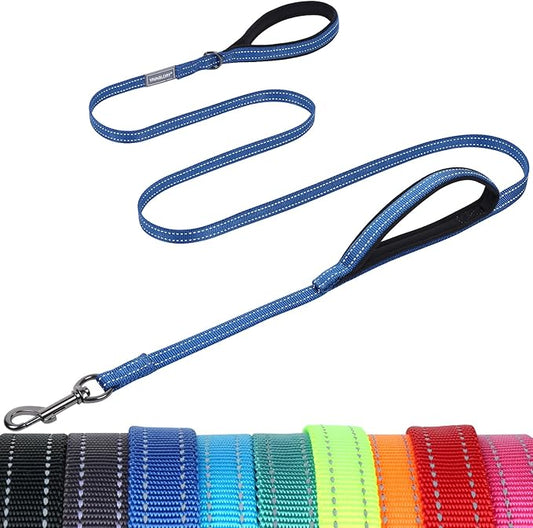 VIVAGLORY Twingrip Dog Leash, Double Handle Dog Leash for Training & Walking with Traffic Handle & 2 Loop, Traffic Control Reflective Heavy Duty for Puppy Pet, 5ft x 1/2in, Blue