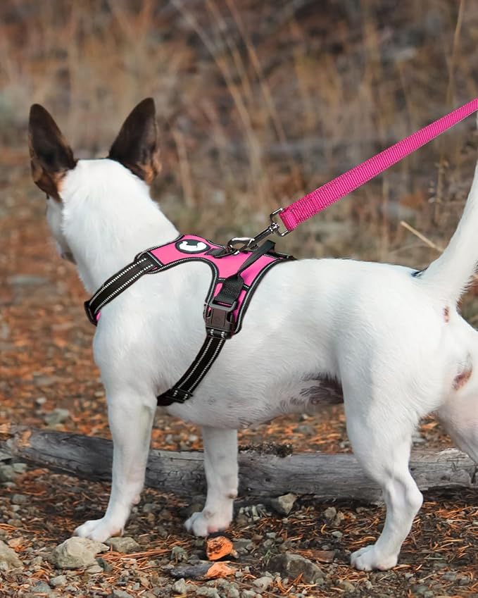 Joytale Dog Leash, 6 FT Double-Sided Reflective, Padded Handle Nylon Heavy Duty Leashes for Medium & Large Dogs Walking, Hotpink