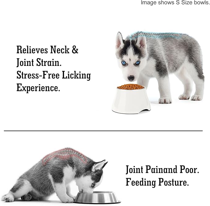 Dog Bowls,Cone Friendly Non Slip Single Dog Bowl with Stainless Steel Inner, Raised Bowls for Small Dogs Spaniel Dogs Long Ear, High Capacity, M/2 Cup White