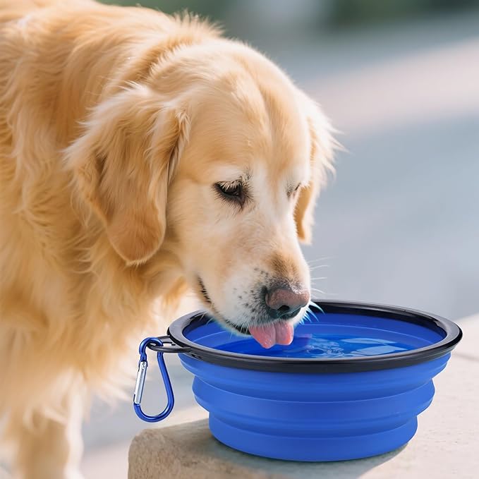 3 Pack Collapsible Dog Travel Bowls, 22oz Large Foldable Dog Water Bowls Portable Pet Food and Water Bowl with Clasp for Traveling Walking Hiking (3 Colors)