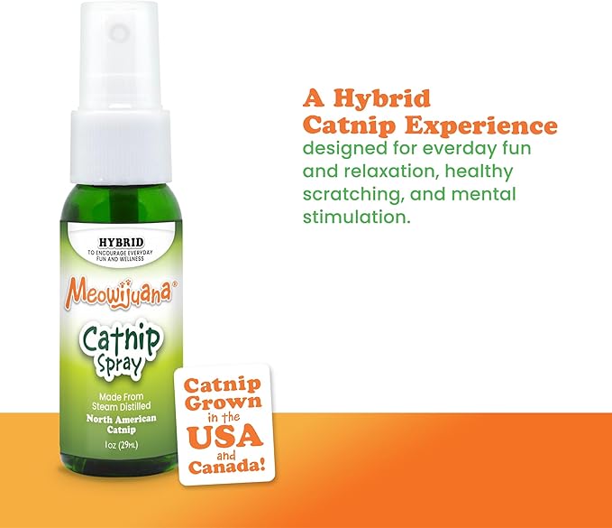 Meowijuana | 1oz. Premium Catnip Spray | Organic | High Potency | Use On Cat Toys, Teasers, and Scratchers | Grown In North America | Feline and Cat Lover Approved