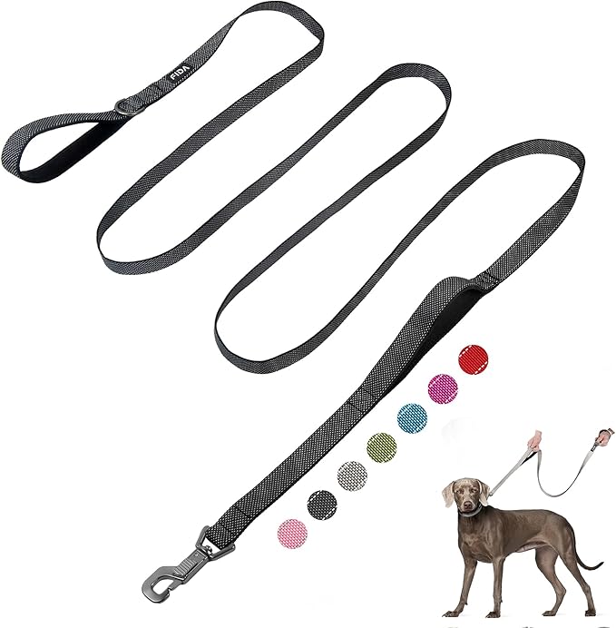 Fida 10ft Heavy Duty Dog Leash with 2 Comfortable Padded Handles, Traffic Handle & Advanced Easy Snap Hook, Reflective Walking Lead for Large, Medium & Small Breed Dogs, Black