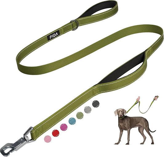 Fida 4 FT Heavy Duty Dog Leash with 2 Comfortable Padded Handles, Traffic Handle & Advanced Easy Snap Hook, Reflective Walking Lead for Large, Medium & Small Breed Dogs, Green